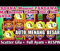 Room Jp Panda Hari Ini 2023